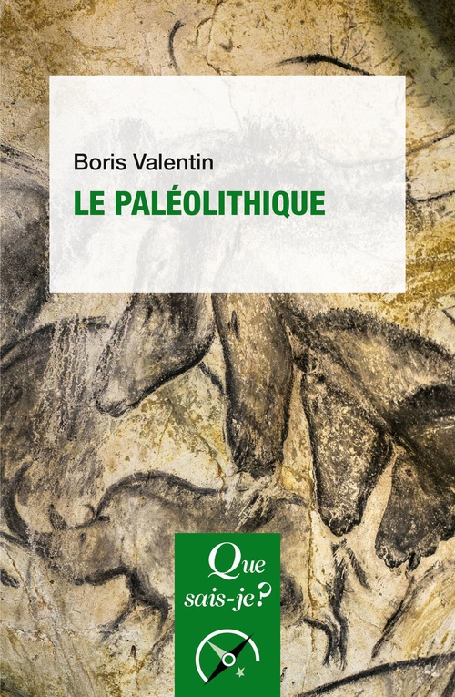 ebook cover of Le Paléolithique, by Boris Valentin