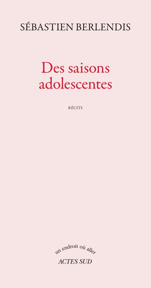 ebook cover of Des saisons adolescentes, by Sébastien Berlendis