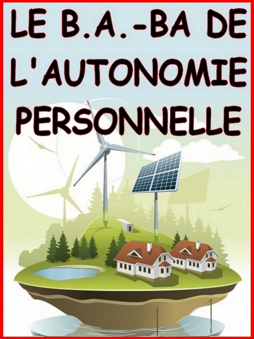 ebook cover of Le b.A.-ba de l'autonomie personnelle, by Alexis Delune