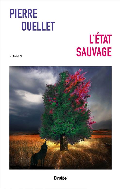 Couverture ebook de L'état sauvage, de Pierre Ouellet