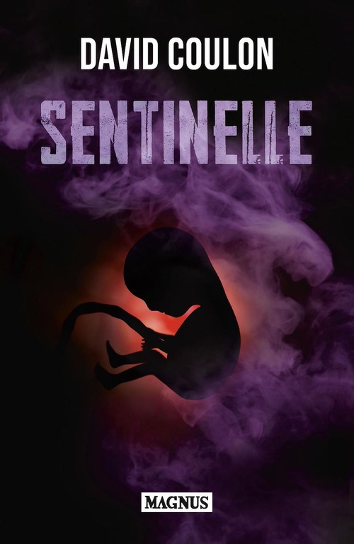 Couverture ebook de Sentinelle, de David Coulon
