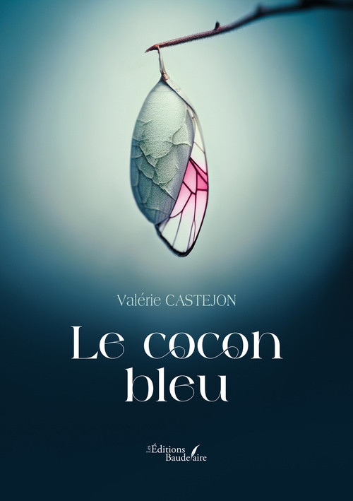 ebook cover of Le cocon bleu, by Valérie Castejon