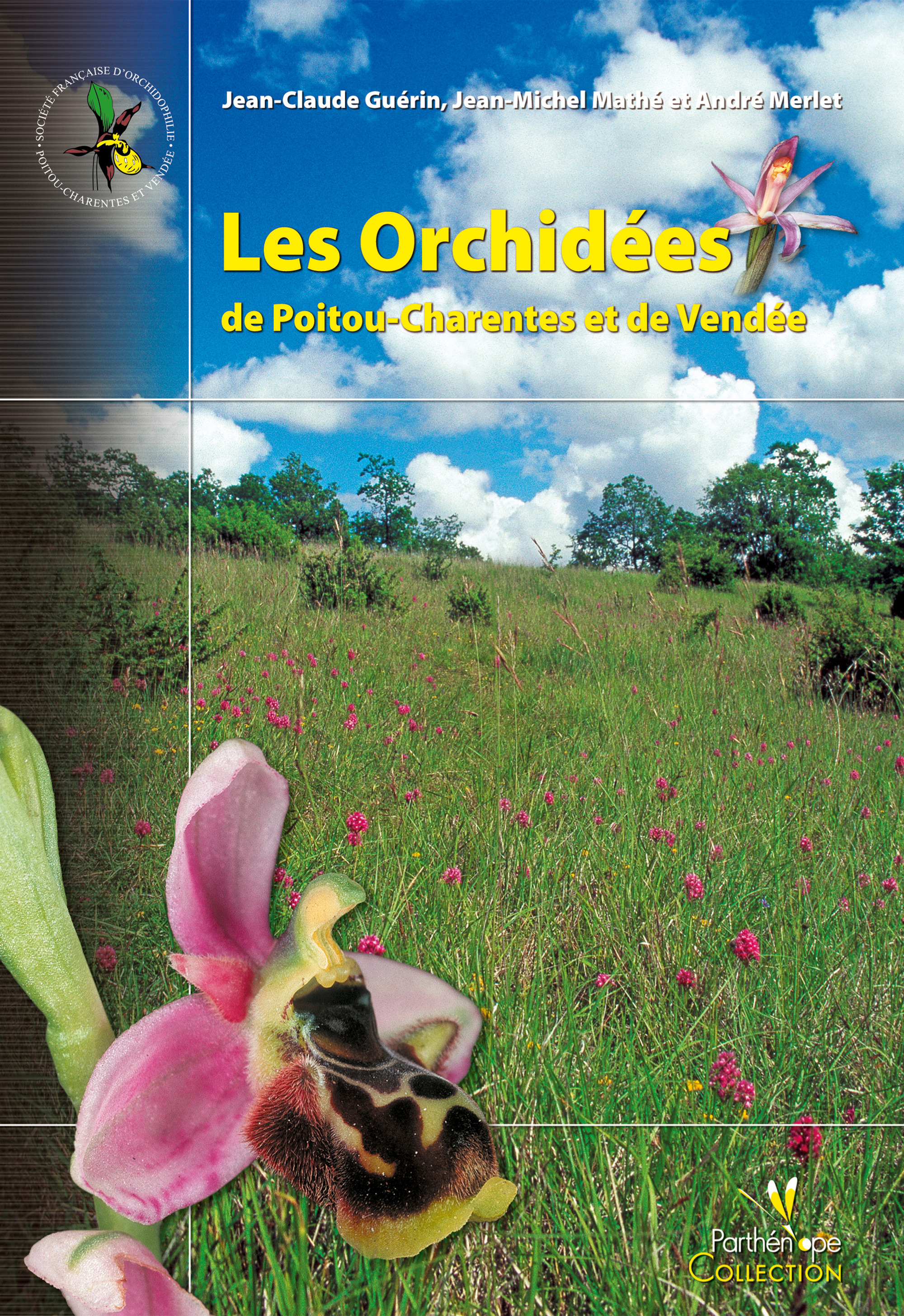 ebook cover of Les Orchidées de Poitou-Charentes et de Vendée, by Mathe/Merlet/Guerin