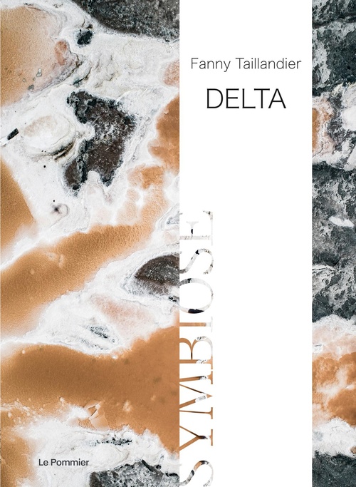 Couverture ebook de Delta, de Fanny Taillandier