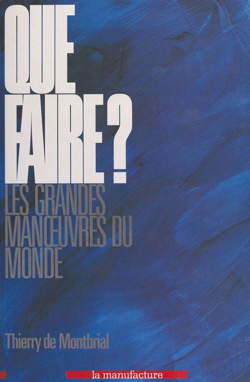 ebook cover of Que faire ? Les grandes manoeuvres du monde, by Thierry de Montbrial