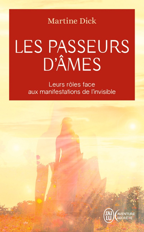 ebook cover of Les passeurs d'âmes, by Martine Dick