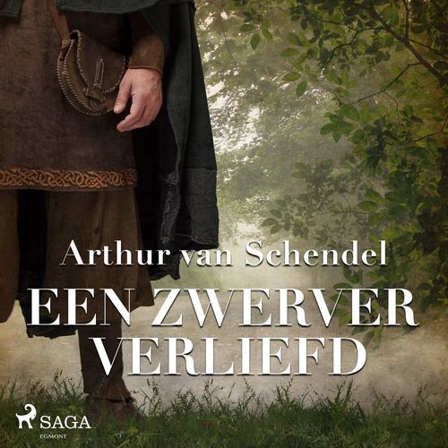 audiobook cover of Een zwerver verliefd, by Arthur  Van Schendel