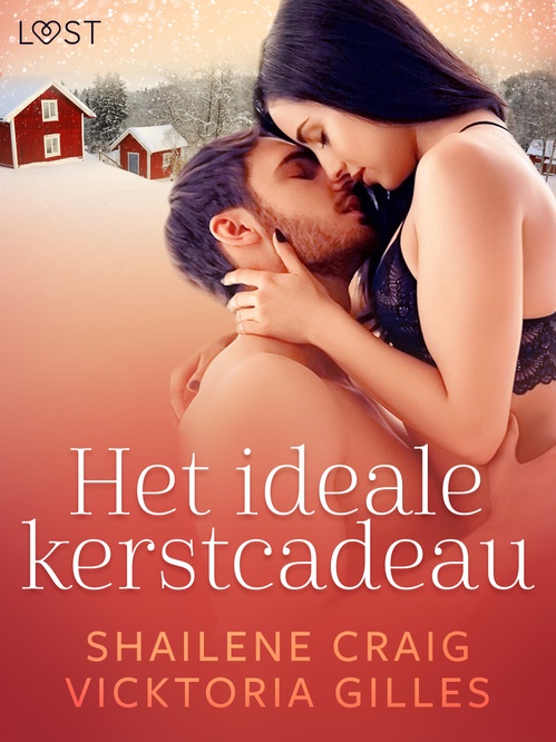 ebook cover of Het ideale kerstcadeau - erotisch kerstverhaal, by Shailene Craig, Vicktoria Gilles