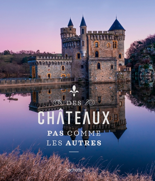 Couverture ebook de Des châteaux pas comme les autres, de Collectif