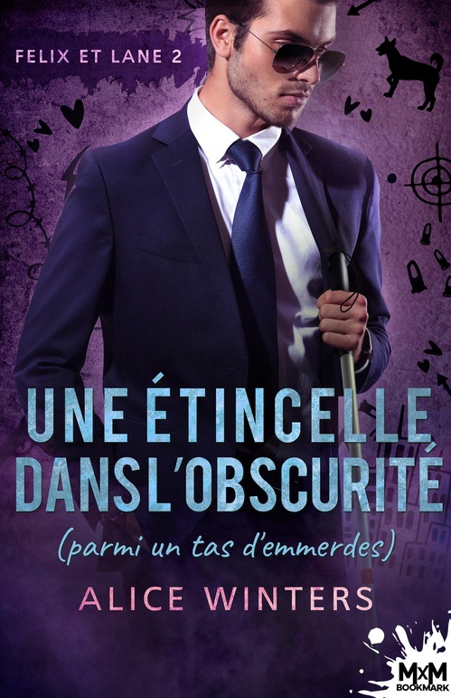 ebook cover of Une étincelle dans l'obscurité (parmi un tas d'emmerdes), by Alice Winters