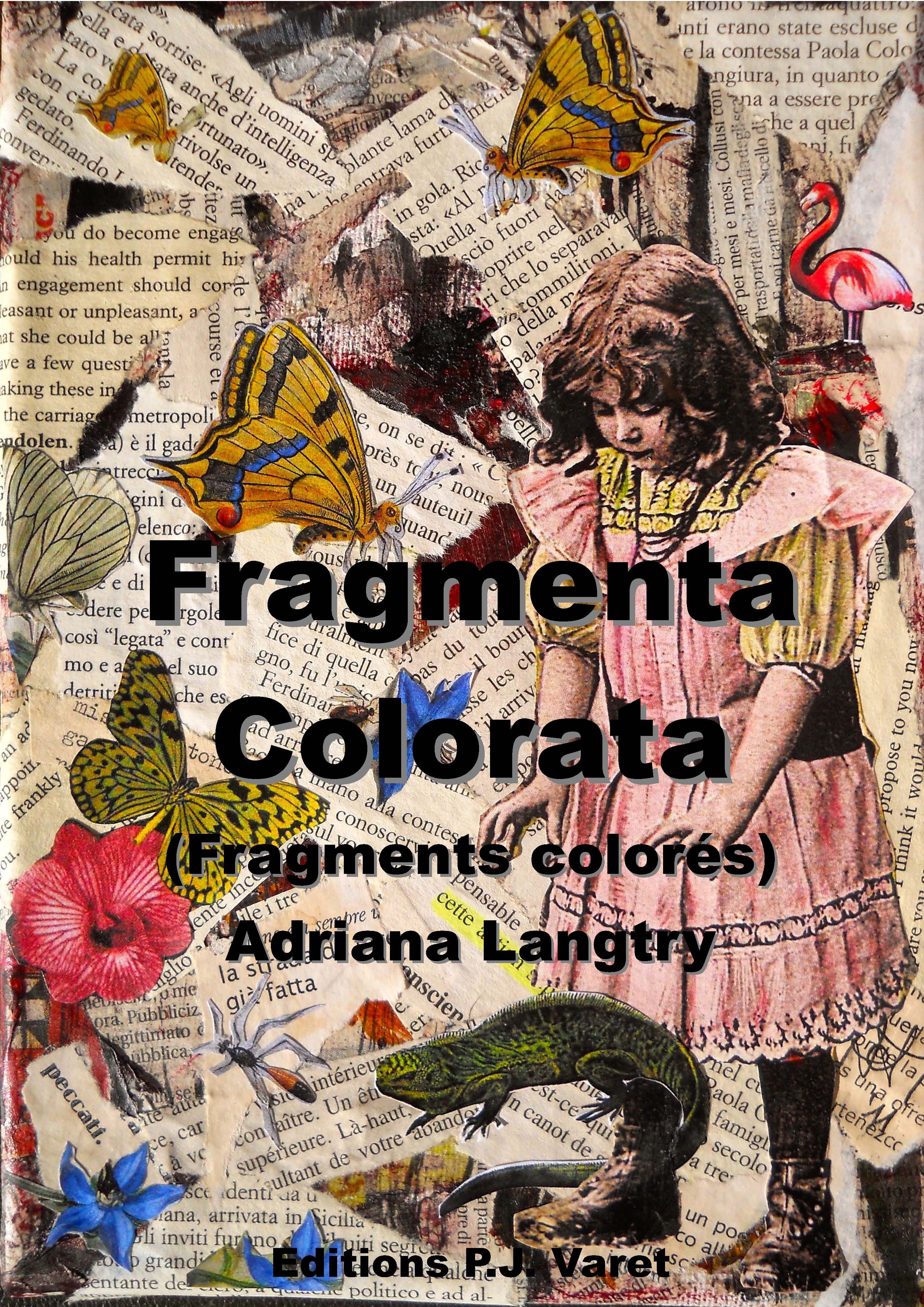 Couverture ebook de Fragmenta colorata, de Adriana Langtry