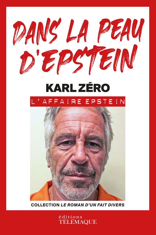 ebook cover of Dans la peau d'Epstein, by Karl Zéro