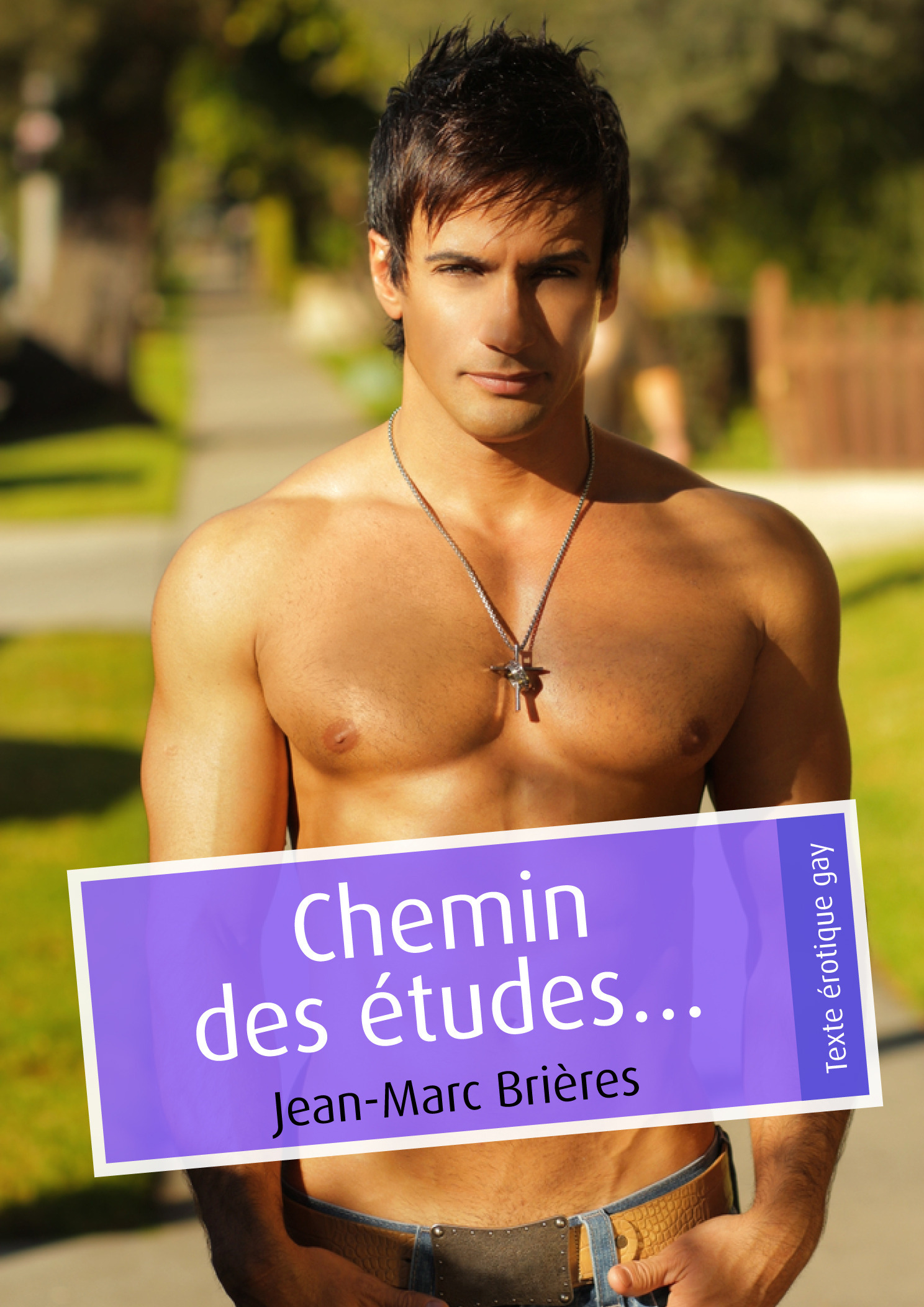 ebook cover of Chemin des études..., by Jean-Marc Brieres