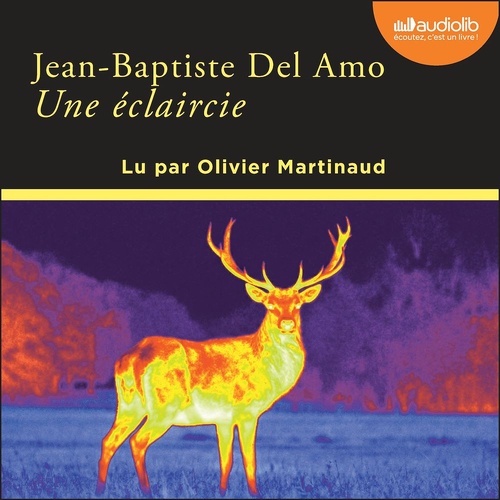Couverture audiobook de Une éclaircie, de Jean-Baptiste Del Amo