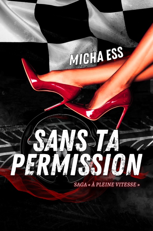 Couverture ebook de Sans ta permission, de Micha Ess