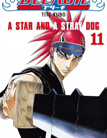 ebook cover of Bleach - Tome 11, by Tite Kubo