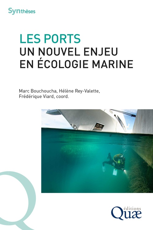 ebook cover of Les ports, un nouvel enjeu en écologie marine, by Frédéric Viard, Collectif, Marc Bouchoucha, Hélène Rey-Valette