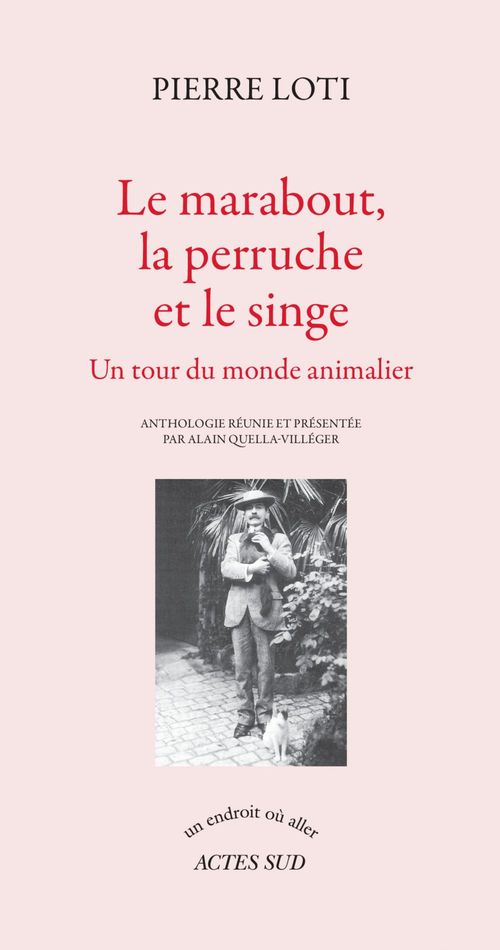 ebook cover of Le marabout, la perruche et le singe, by Pierre Loti