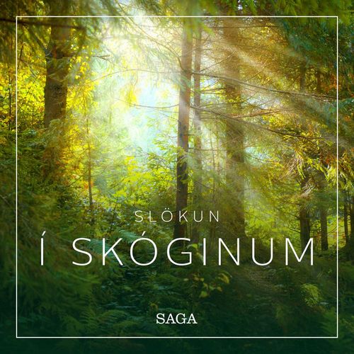 audiobook cover of Slökun - Í skóginum, by Rasmus Broe