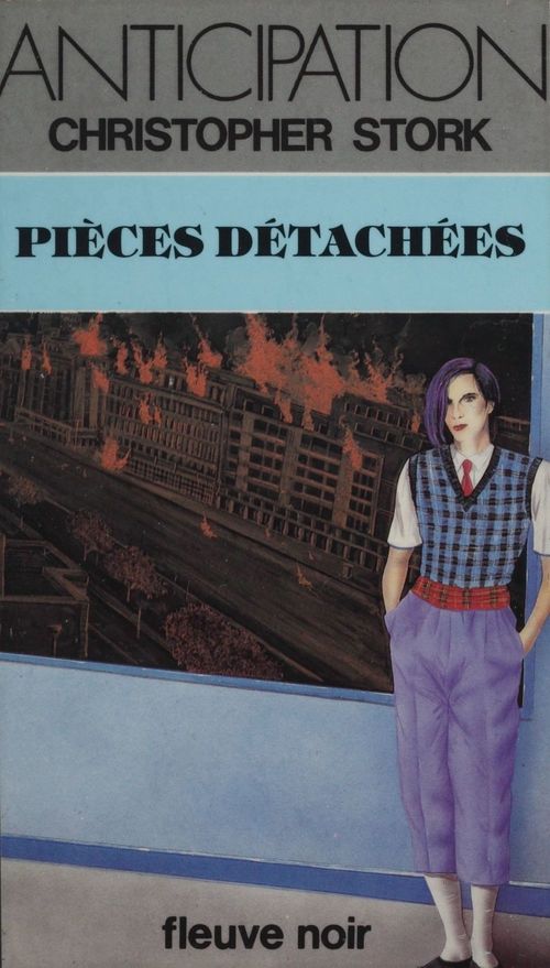 ebook cover of Pièces détachées, by Christopher Stork