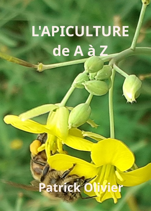 ebook cover of L'Apiculture de A à Z, by Patrick Olivier