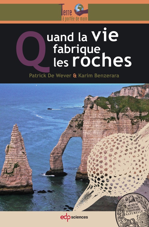 Couverture ebook de Quand la vie fabrique les roches, de Karim Benzerara, Patrick De Wever