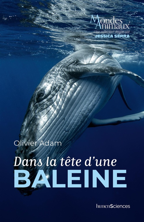 ebook cover of Dans la tête d'une baleine, by Olivier Adam