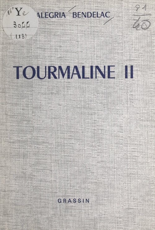 Couverture ebook de Tourmaline II, de Alegria Bendelac