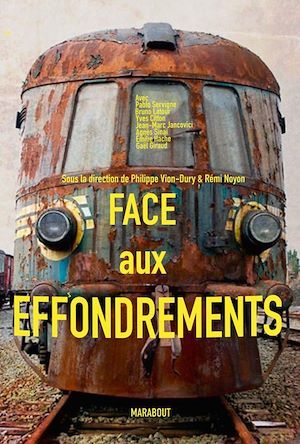 ebook cover of Face aux chocs écologiques, by Rémi Noyon, Philippe Vion-Dury