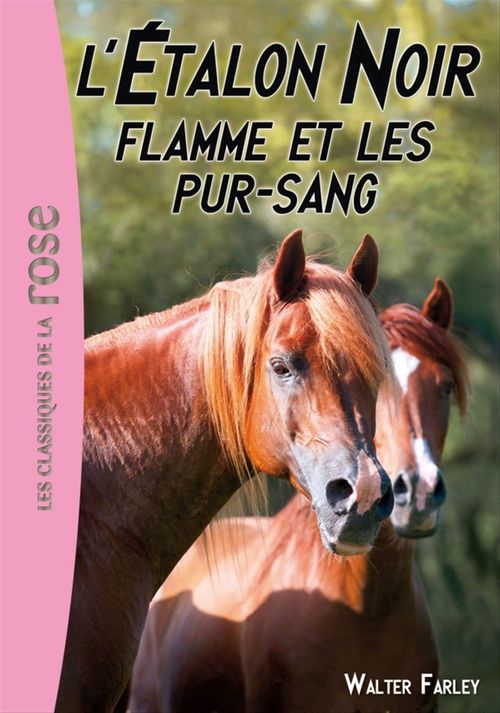 Couverture ebook de L'Étalon Noir 11 - Flamme et les pur-sang, de Steven Farley, Walter Farley