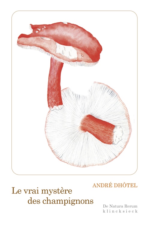 ebook cover of Le Vrai mystère des champignons, by André Dhôtel
