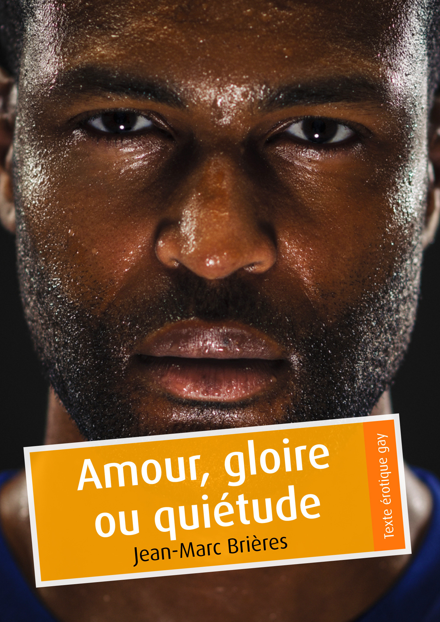 ebook cover of Amour, gloire ou quiétude, by Jean-Marc Brieres