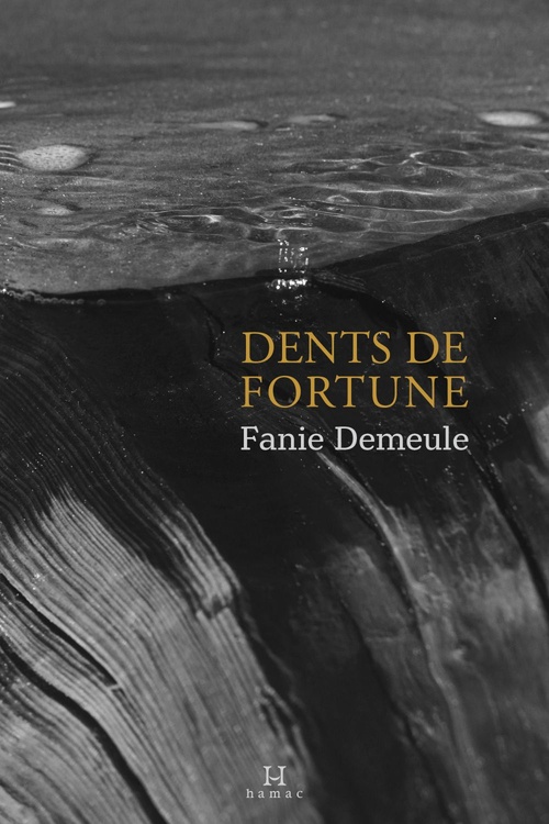 Couverture ebook de Dents de fortune, de Fanie Demeule
