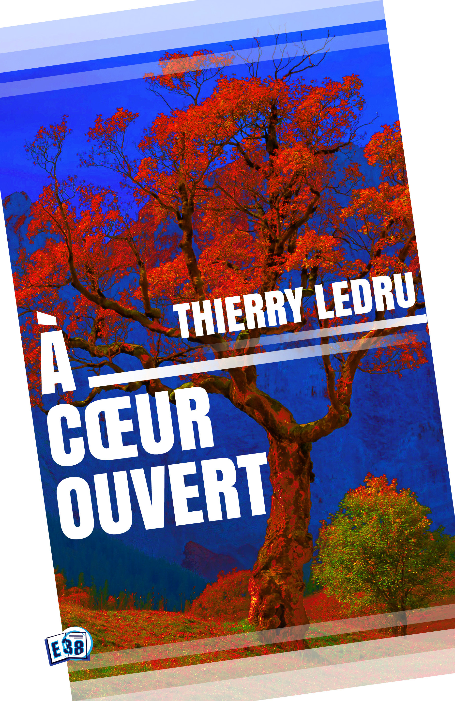 Couverture ebook de A coeur ouvert, de Thierry Ledru