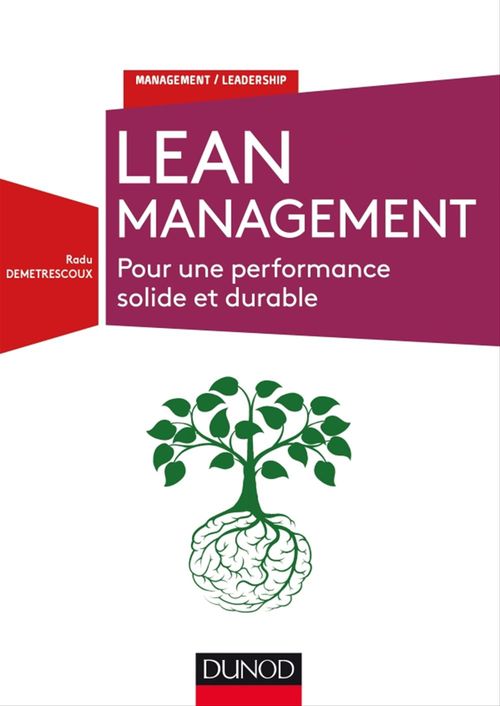 ebook cover of Lean Management, by Radu Demetrescoux