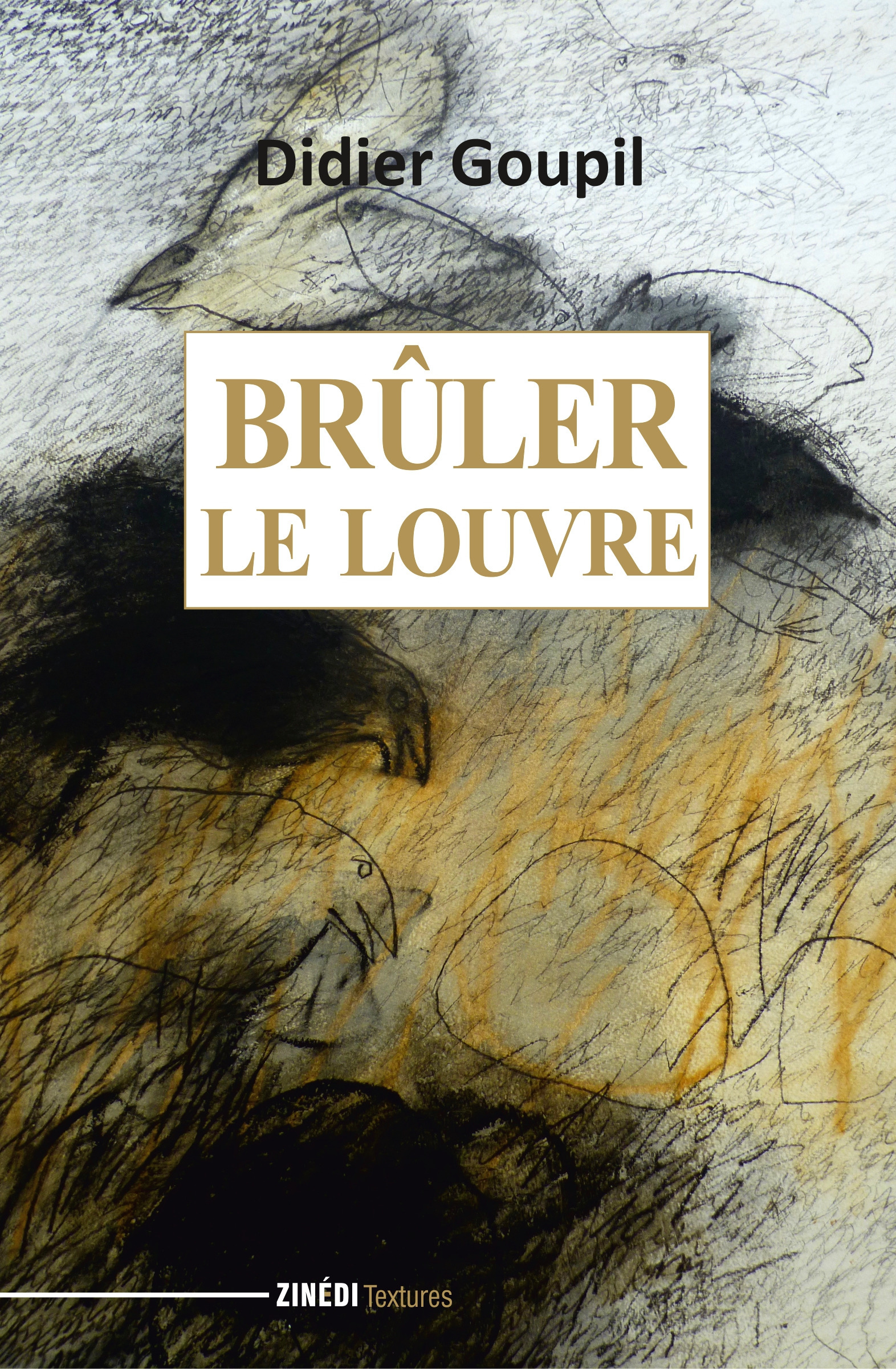 ebook cover of Brûler le Louvre, by Didier Goupil