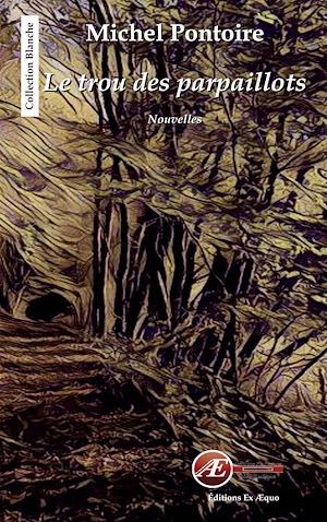 Couverture ebook de Le trou des parpaillots, de Michel Pontoire