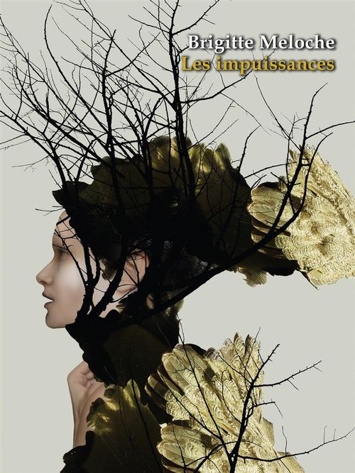 ebook cover of Les impuissances, by Brigitte Meloche