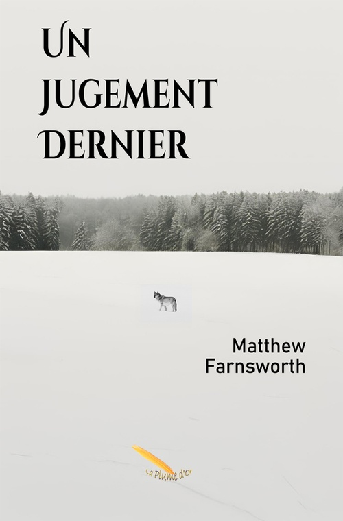 ebook cover of Un jugement dernier, by Matthew Farnsworth