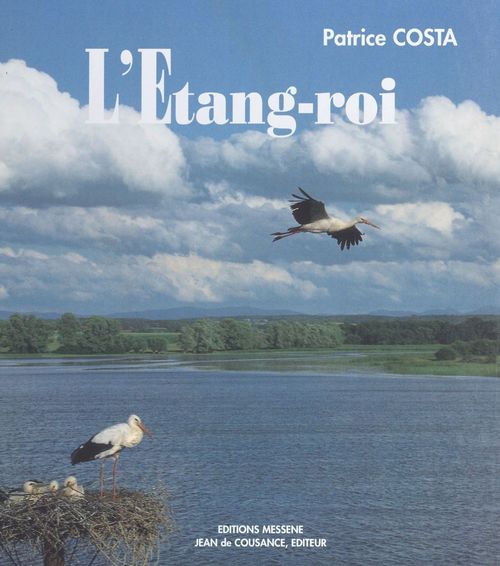 Couverture ebook de L'étang-roi, de Patrice Costa