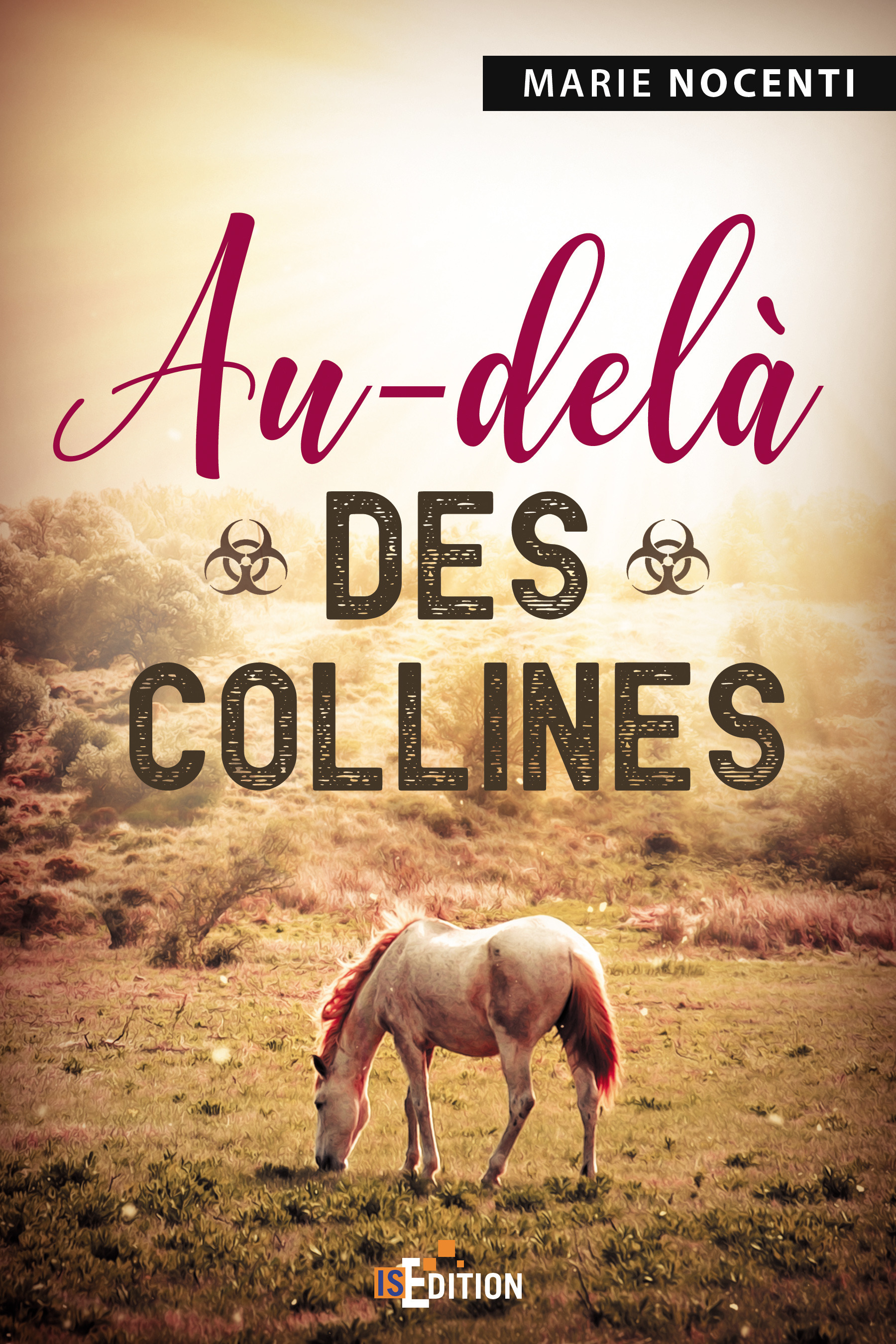 Couverture ebook de Au-delà des collines, de Marie Nocenti