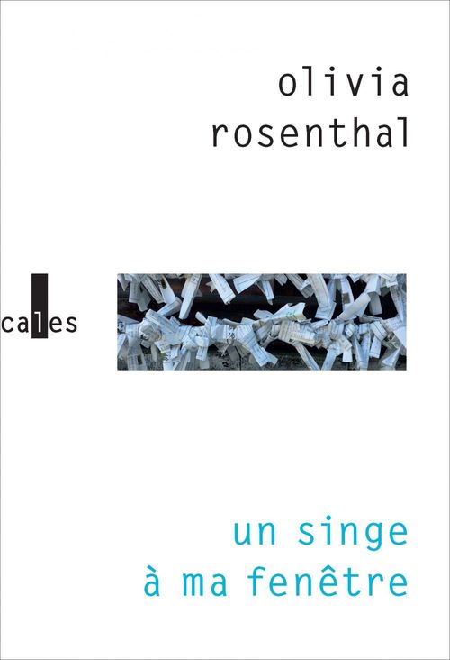 Couverture ebook de Un singe à ma fenêtre, de Olivia Rosenthal