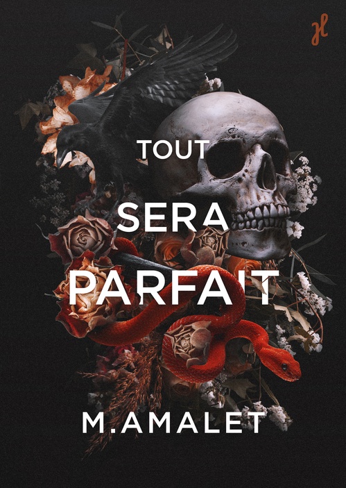 Couverture ebook de Tout sera parfait, de M. Amalet