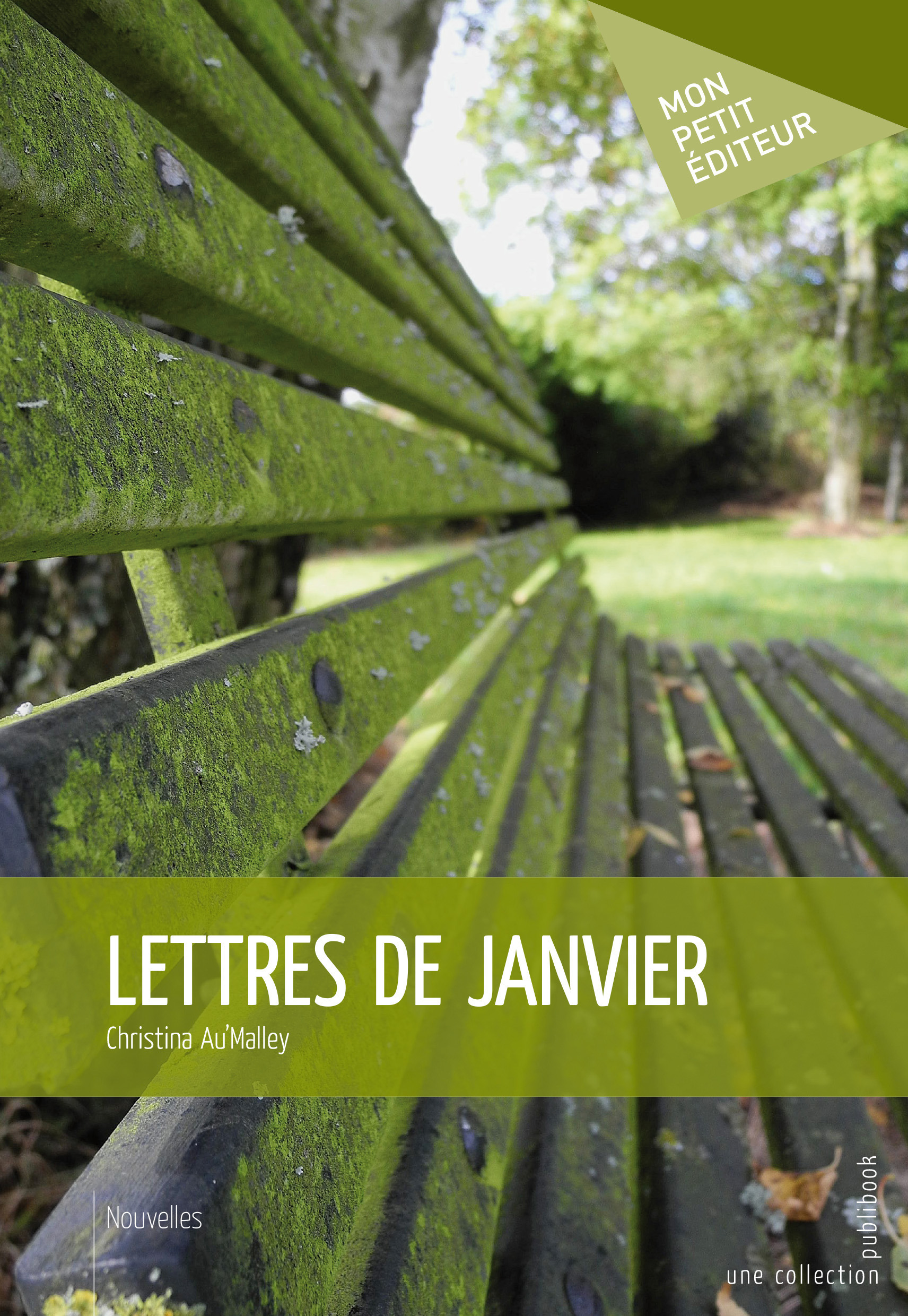 ebook cover of Lettres de janvier, by Christina Au'malley