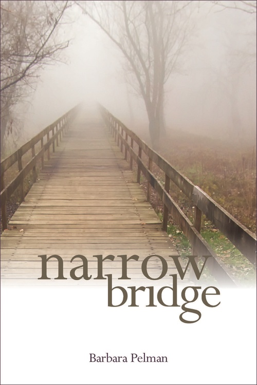 Couverture ebook de Narrow Bridge, de Barbara Pelman