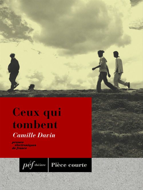 ebook cover of Ceux qui tombent, by Camille Davin