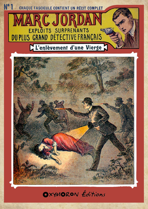 ebook cover of L'enlèvement d'une vierge, by Auteur Inconnu