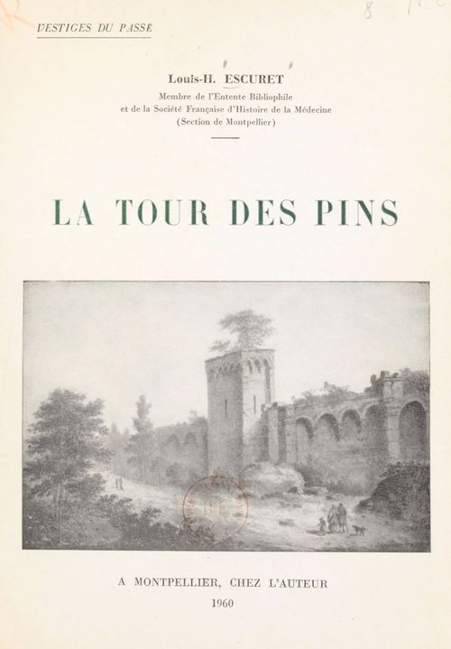 Couverture ebook de Vestiges du passé. La Tour des Pins, de Louis-Henri Escuret