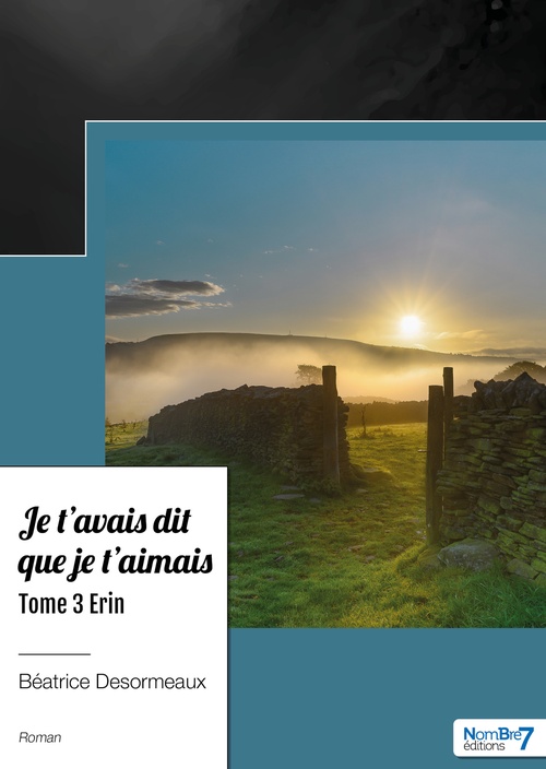 Couverture ebook de Je t'avais dit que je t'aimais - Tome 3, de Béatrice Desormeaux