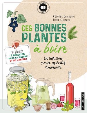 Couverture ebook de Ces bonnes plantes à boire, de Émilie Cuissard